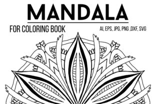 A Designer’s Real-World Review of Graphics Mandala 23