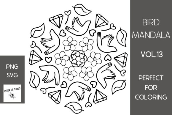 Bird Mandala Vol.13: A Graphic Designer's Branding Evaluation