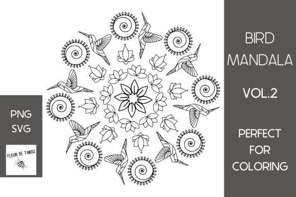 Hummingbird Mandala Vol.2: A Designer’s Review for Real Projects