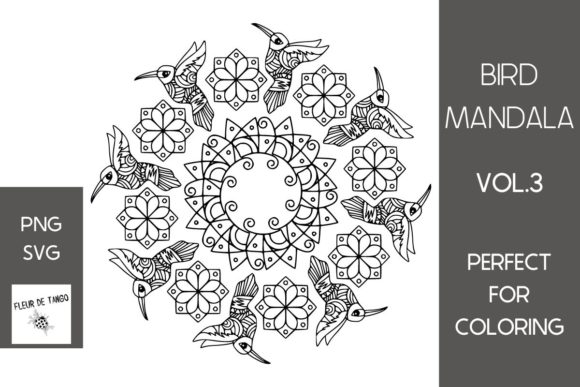 Hummingbird Mandala Vol.3: A Graphic Designer's Asset Review