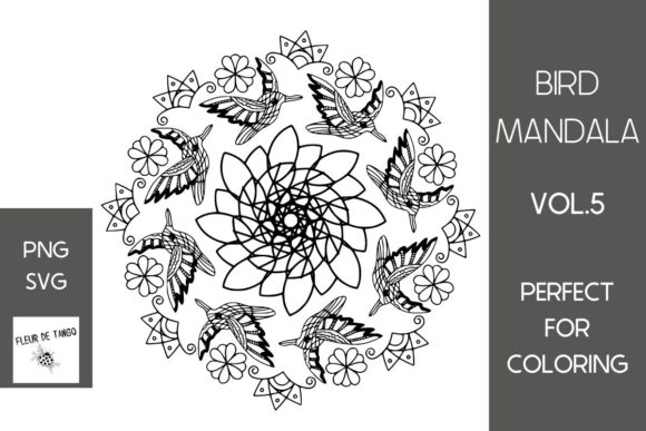 Hummingbird Mandala Vol.5: A Brand Designer's Review for Marketing Graphics