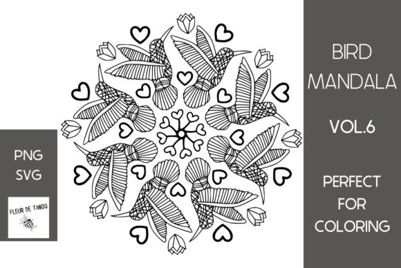 Hummingbird Mandala Vol.6: A Designer’s Take on This Graphics Asset