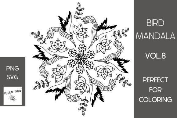 Hummingbird Mandala Vol.8: A Graphics Asset for Brand Storytelling